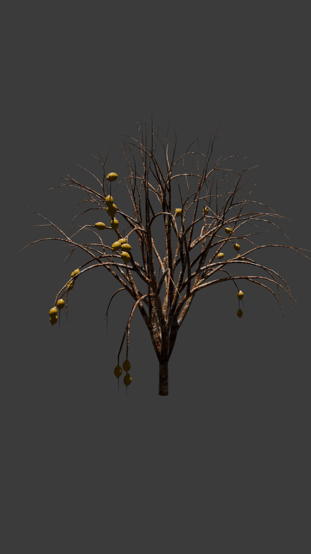 tree lemon Low-poly 3D model_1