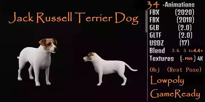 Jack Russell Terrier Dog Low-poly 3D model