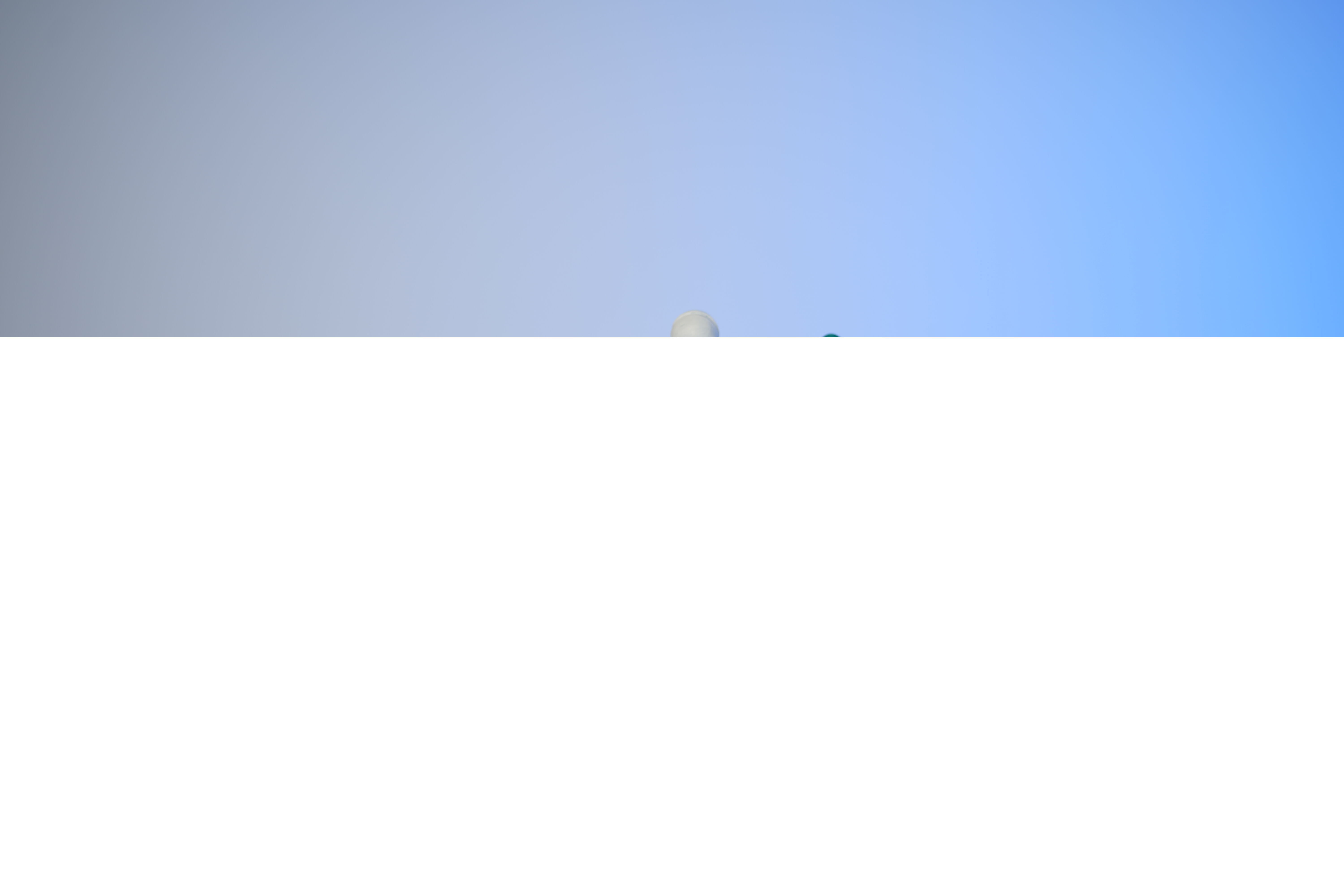 Toldar and Kitu and The Hunter 3D print model_17