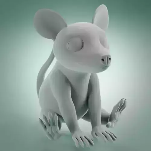 Opossum - Cute possum friend 