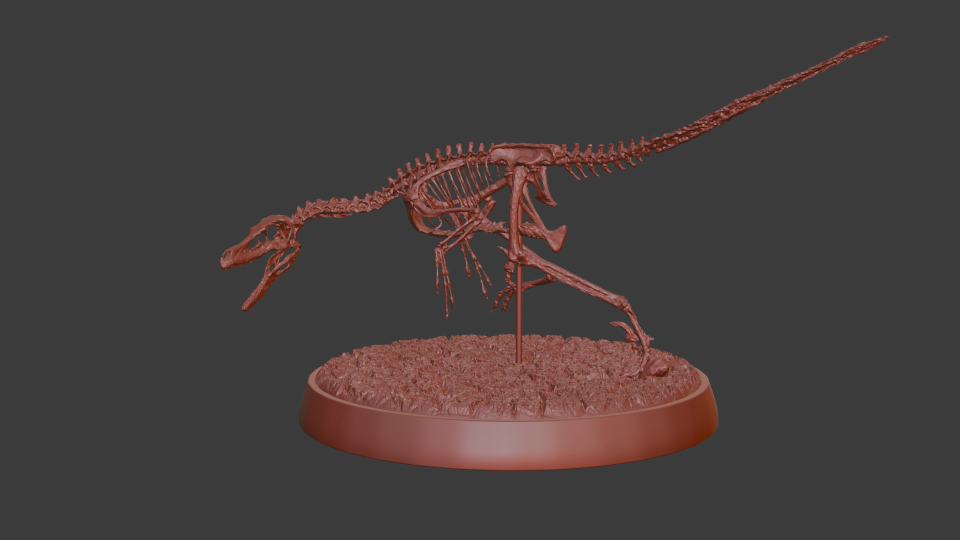 Fossil Velociraptor 3D print model_2