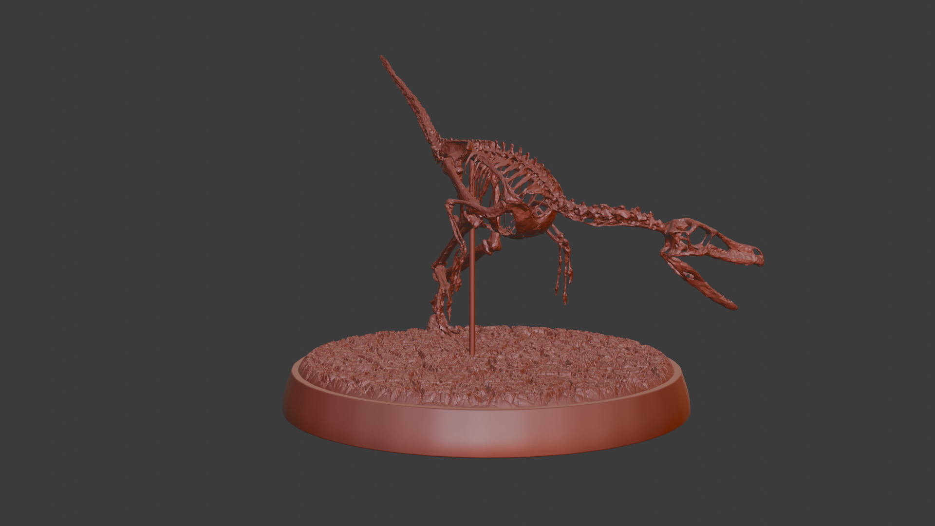 Fossil Velociraptor 3D print model_1