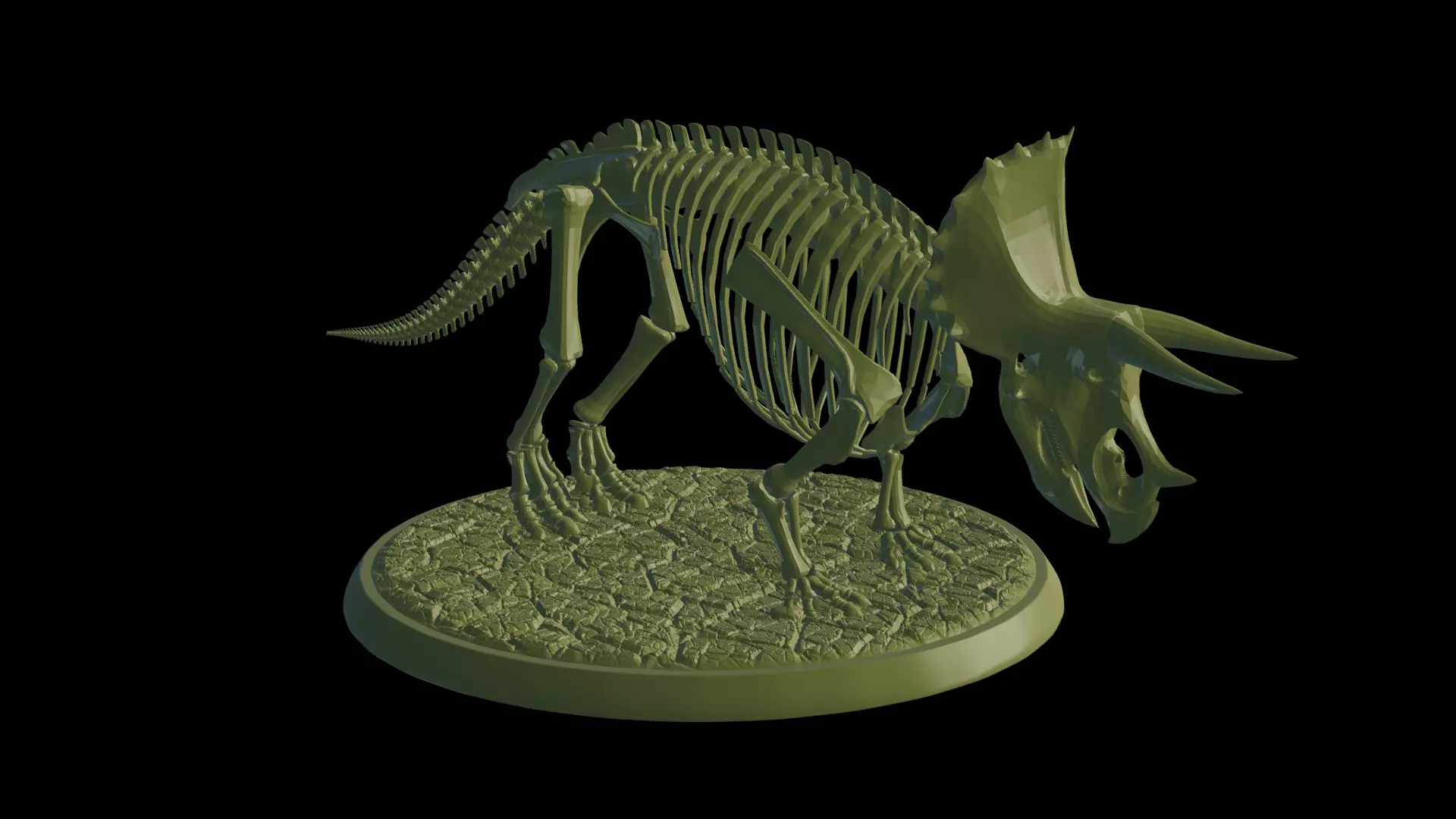 Fossil Triceratops 3D print model_0