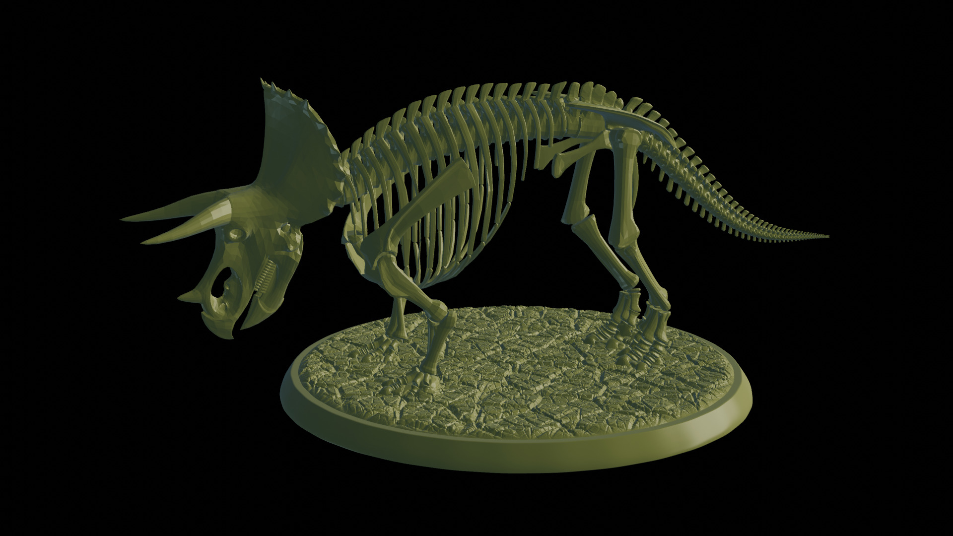 Fossil Triceratops 3D print model_1