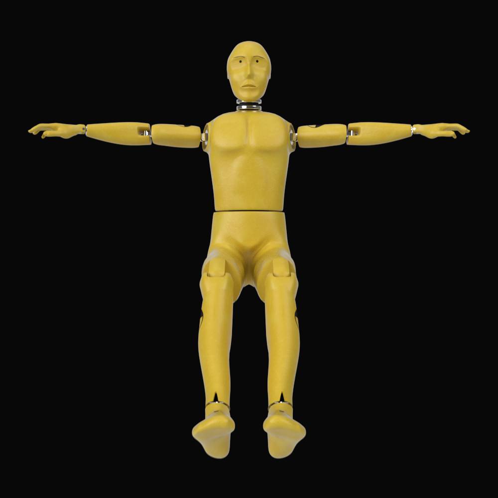Crash Test Dummy 3D model_2