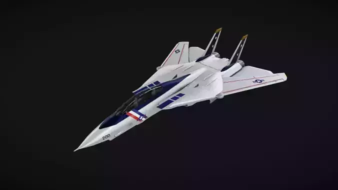 F-14 Jet