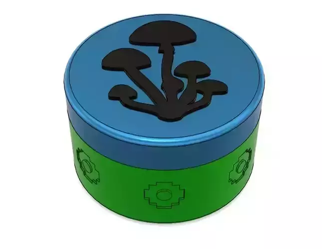 Magic Mushroom Trippy Box 3D print model