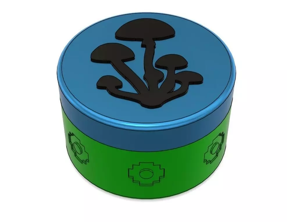 Magic Mushroom Trippy Box 3D print model