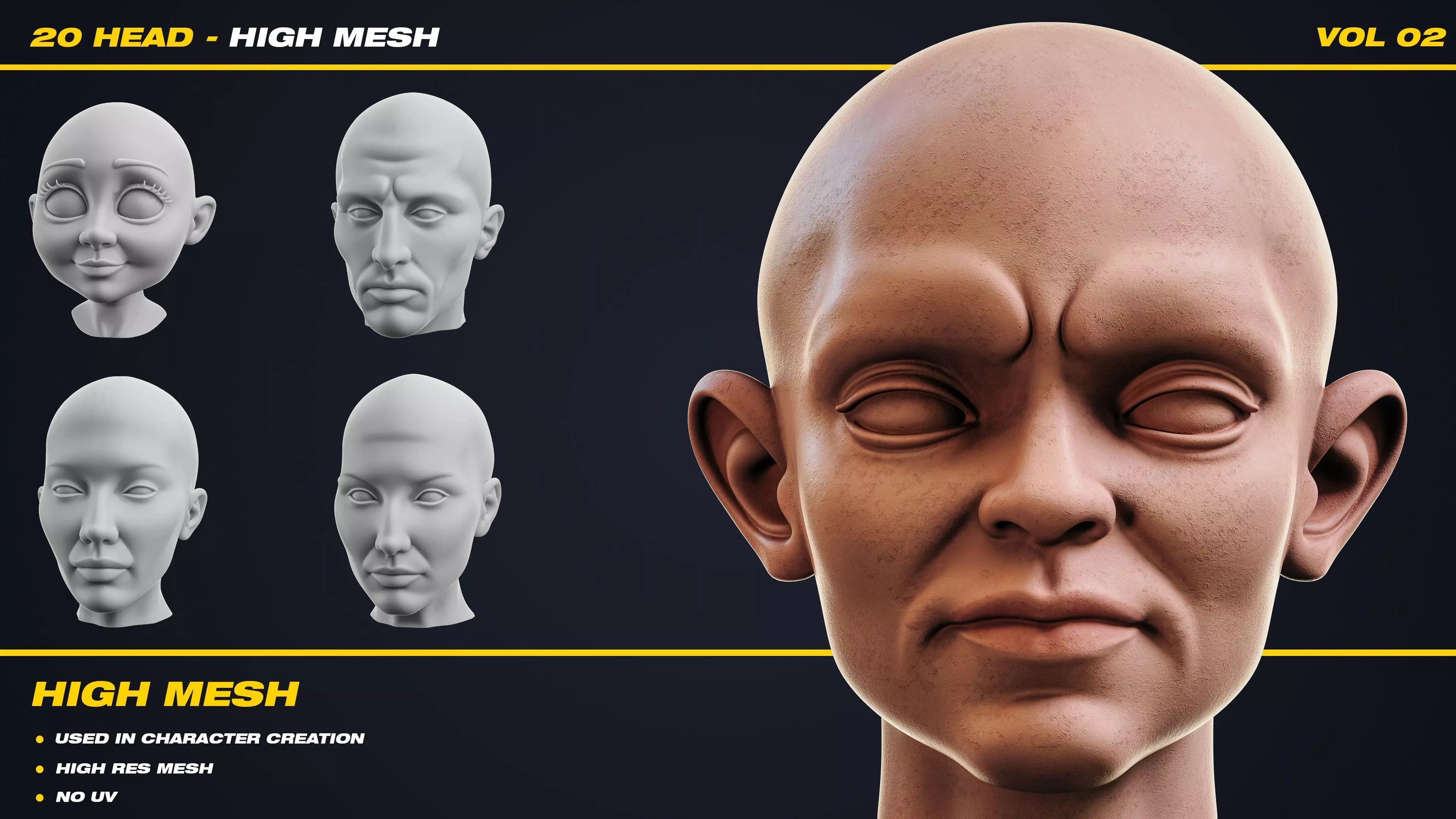 20 Head - High Mesh - Vol 02 3D model_0