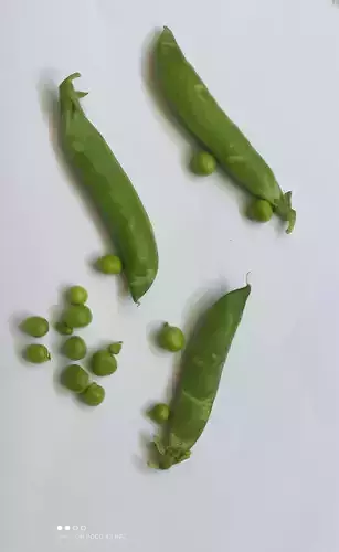 Pea Pods and Peas