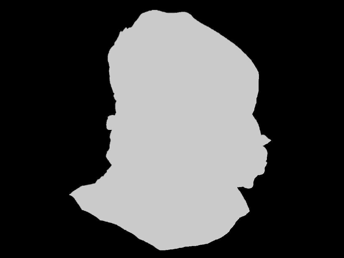 Che Guevara Face Relief 3D print model_4