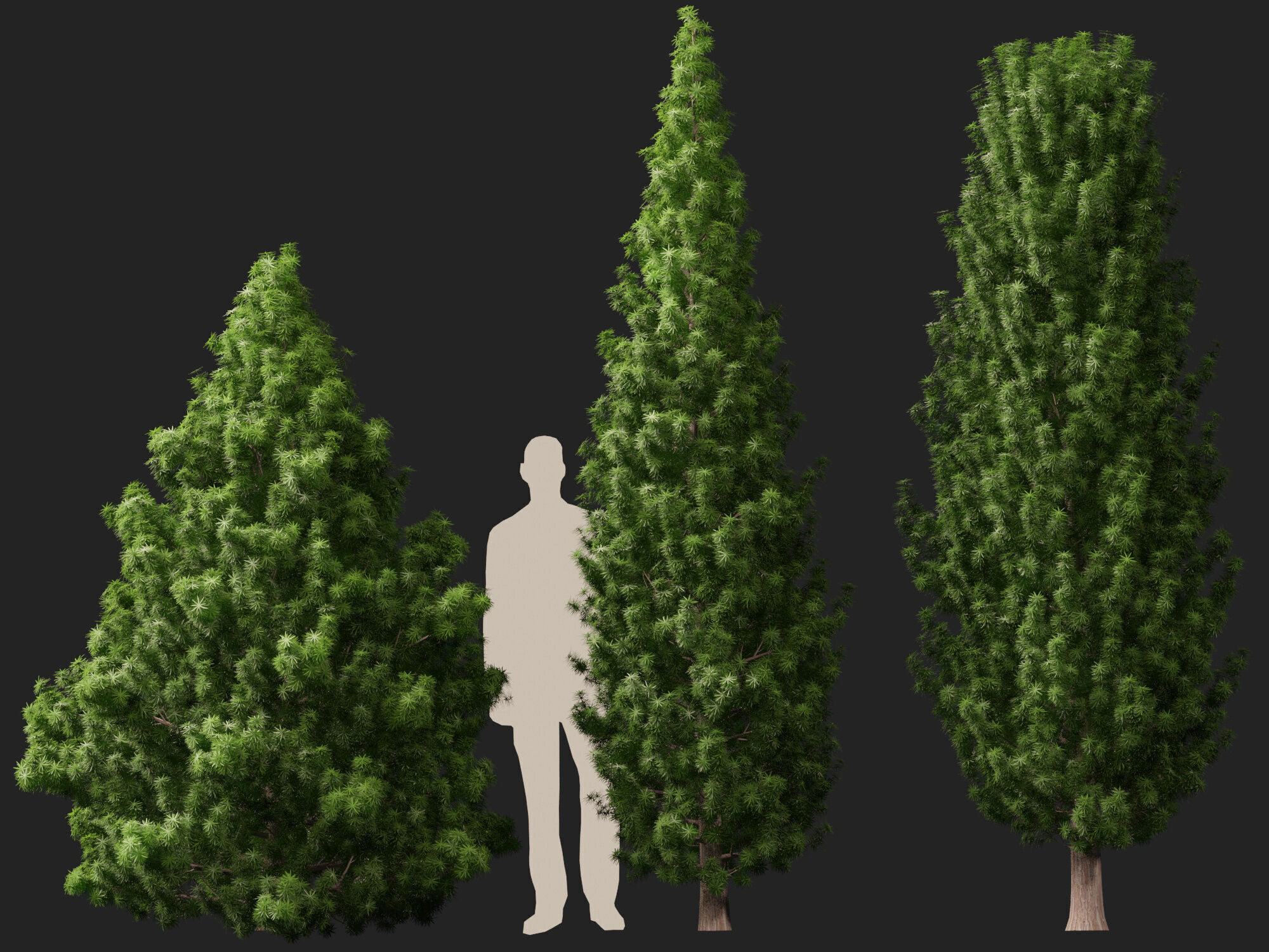 HighPoly LowPoly - Juniperus communis - Common Juniper Low-poly 3D model_6