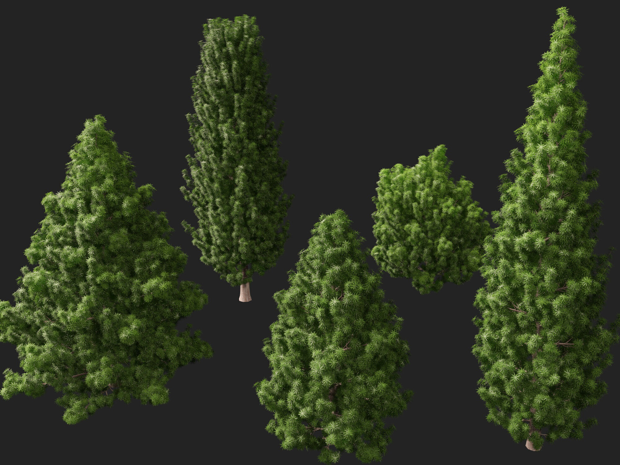 HighPoly LowPoly - Juniperus communis - Common Juniper Low-poly 3D model_7