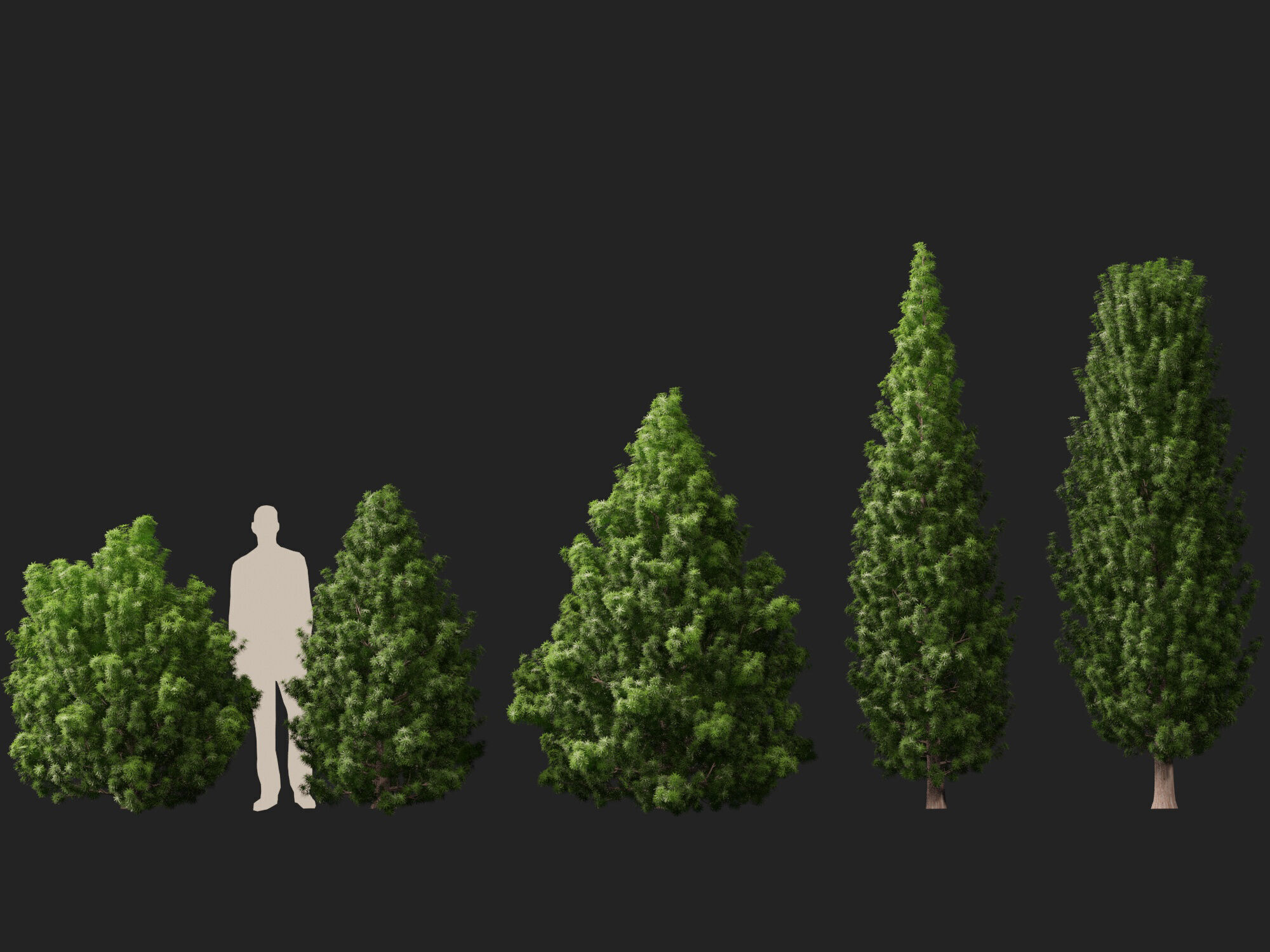 HighPoly LowPoly - Juniperus communis - Common Juniper Low-poly 3D model_2