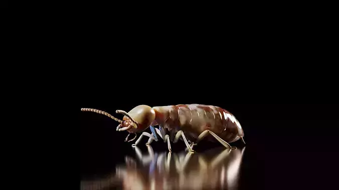 Termite PBR 3D Model
