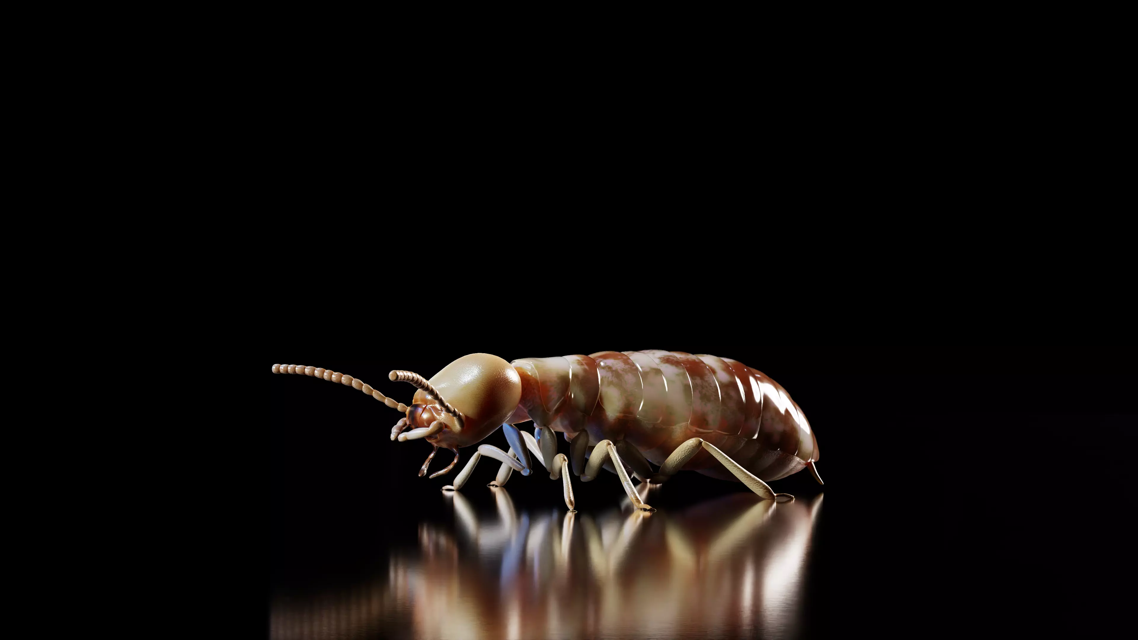 Termite PBR 3D Model 3D model_0