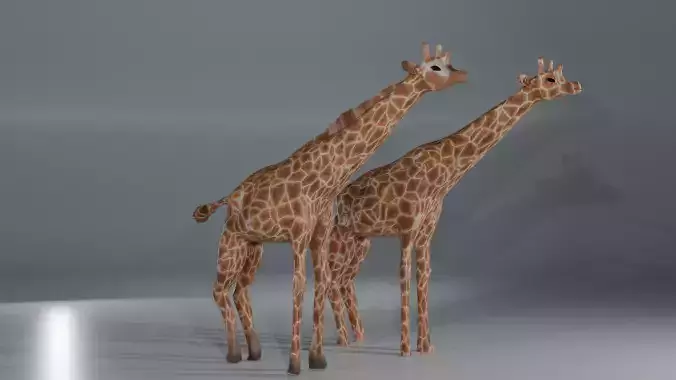 Giraffe 
