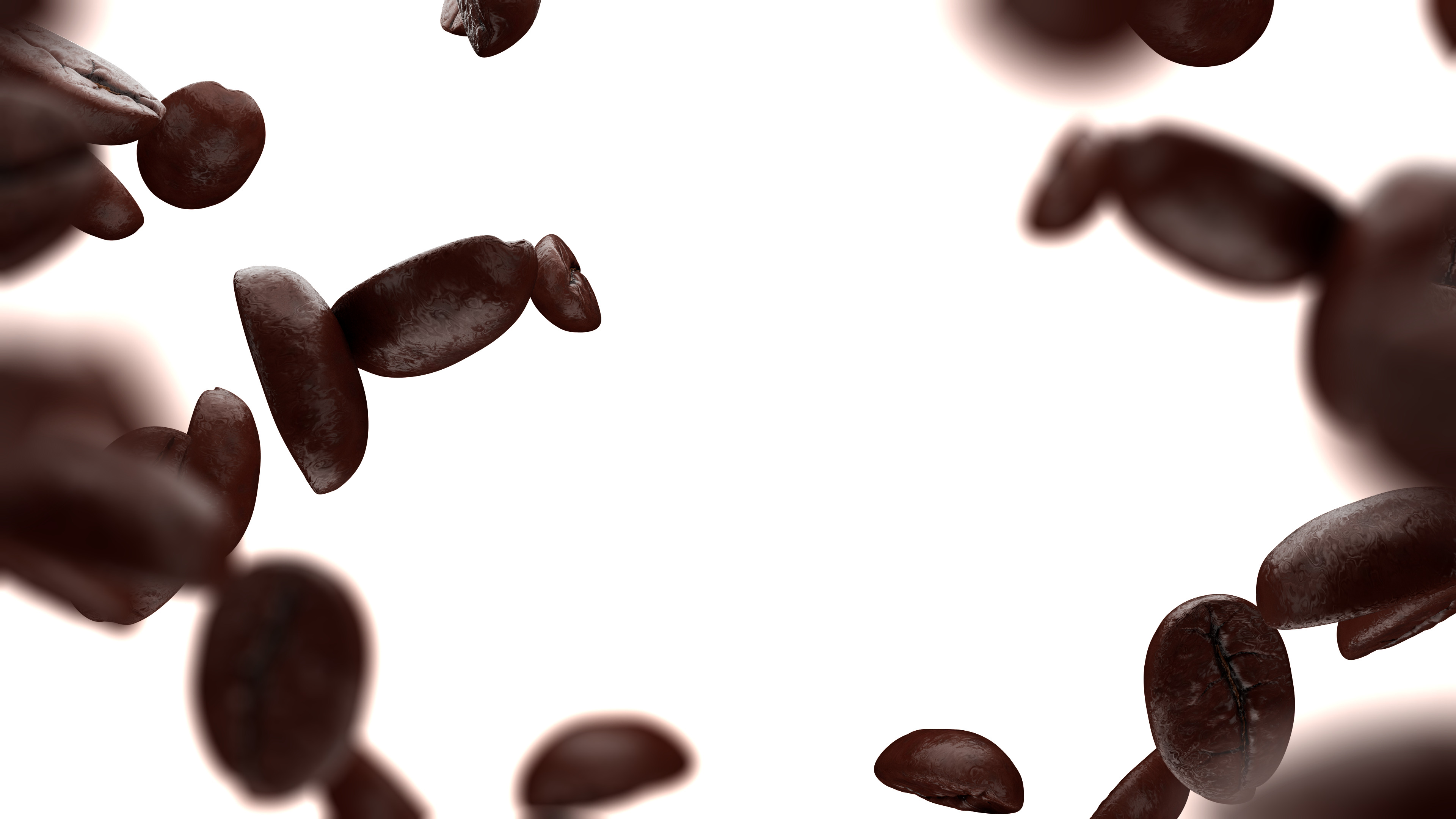 CoffeeBean 3D model_2