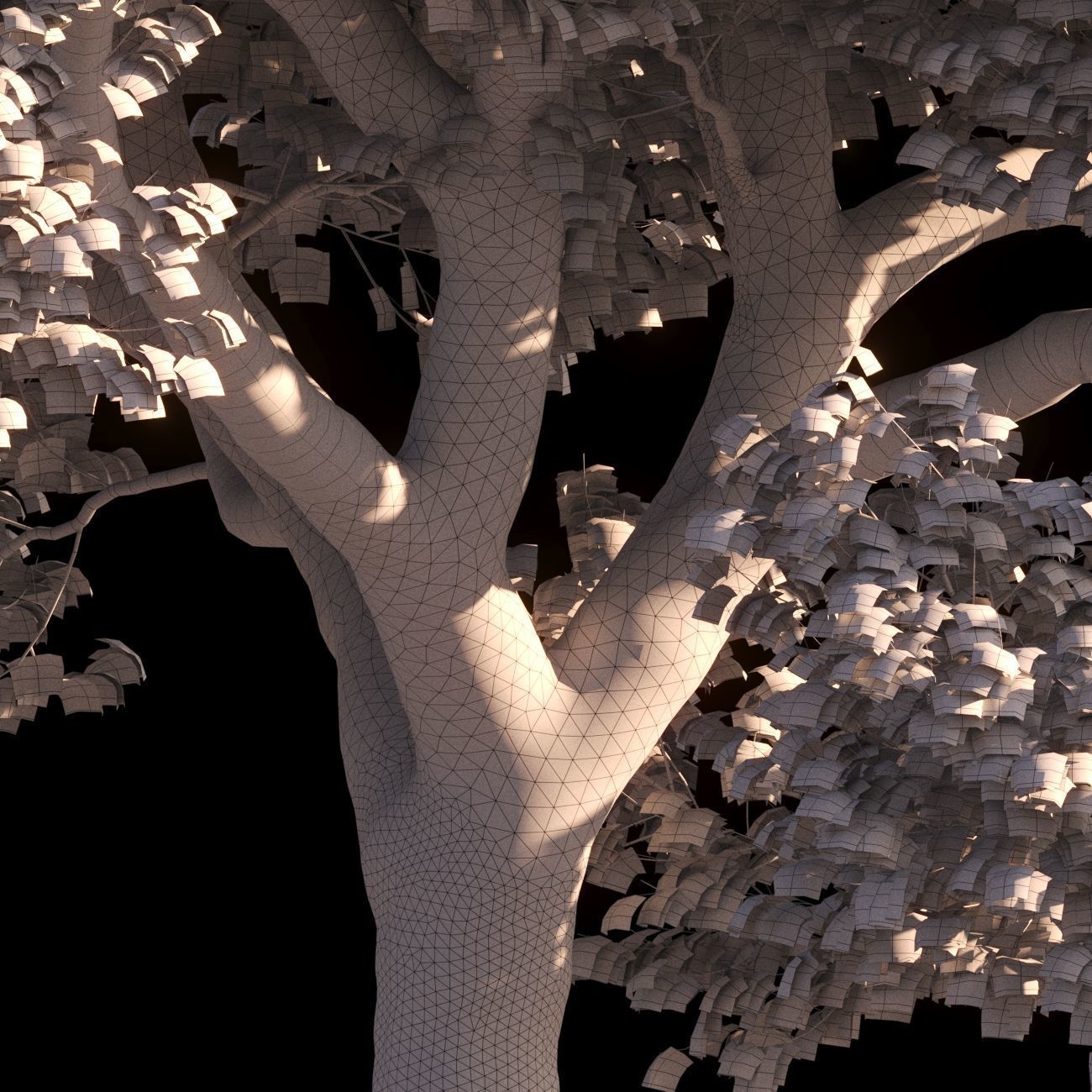 Platanus x hispanica XXL size 3 different models 3D Model Collection_10