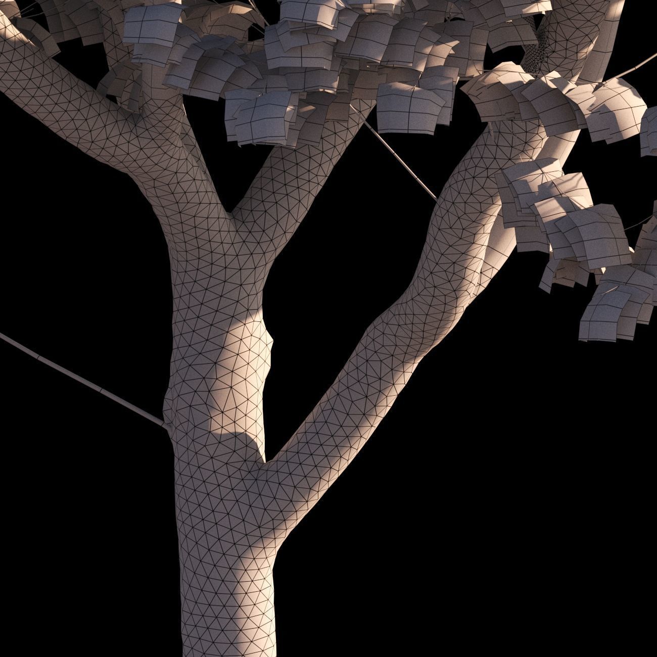 Platanus x hispanica L size 5 different models 3D Model Collection_18