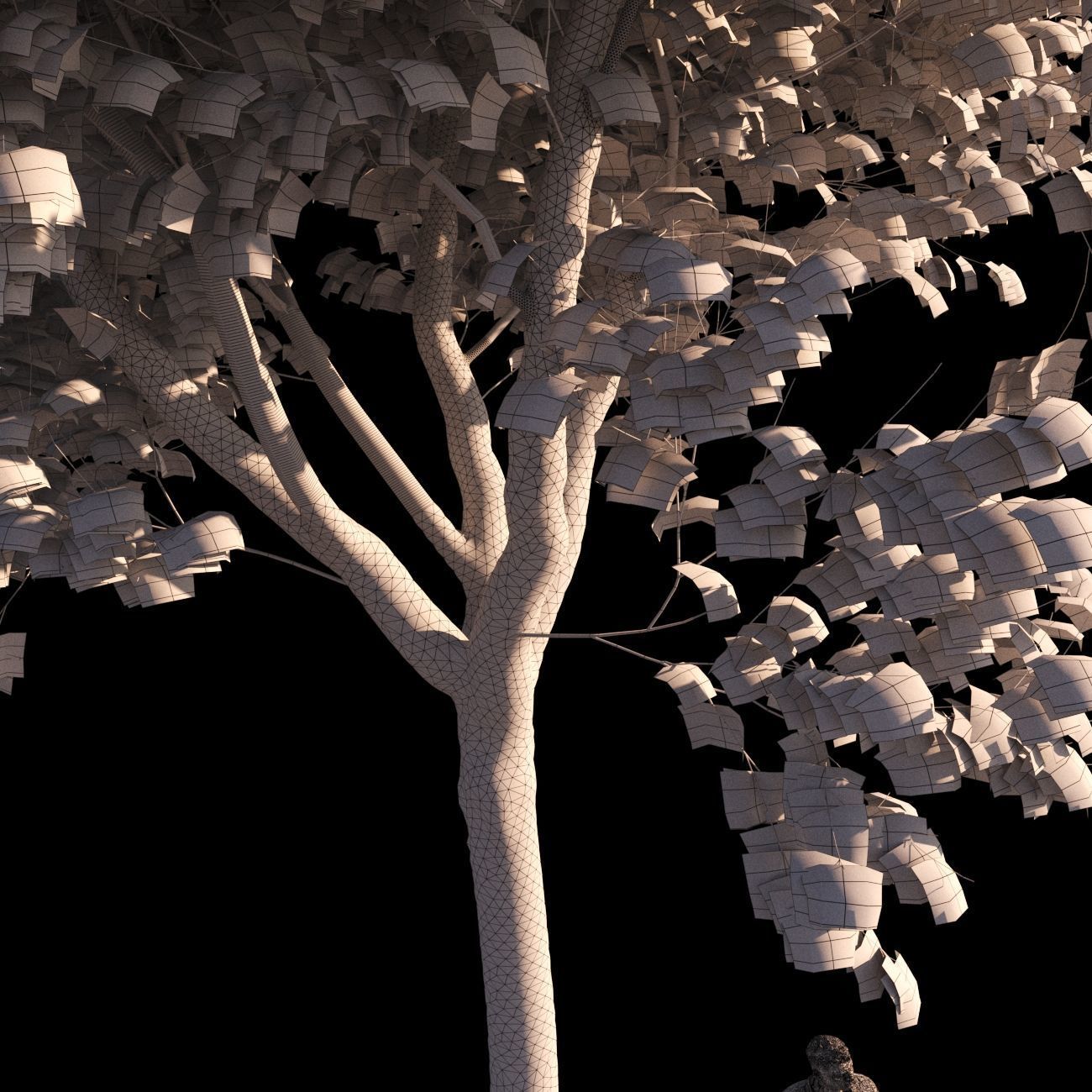 Platanus x hispanica L size 5 different models 3D Model Collection_16