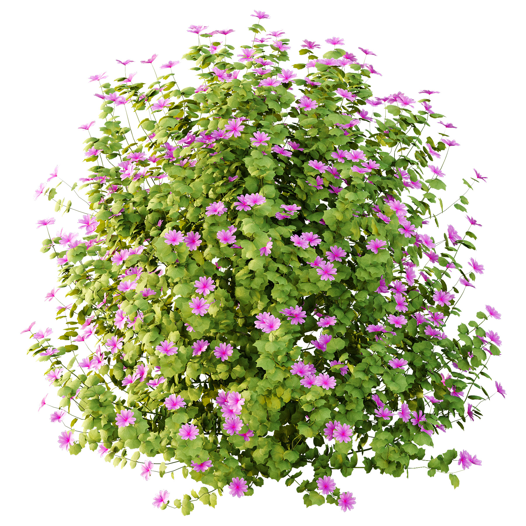 Different bush 11 3D model_4