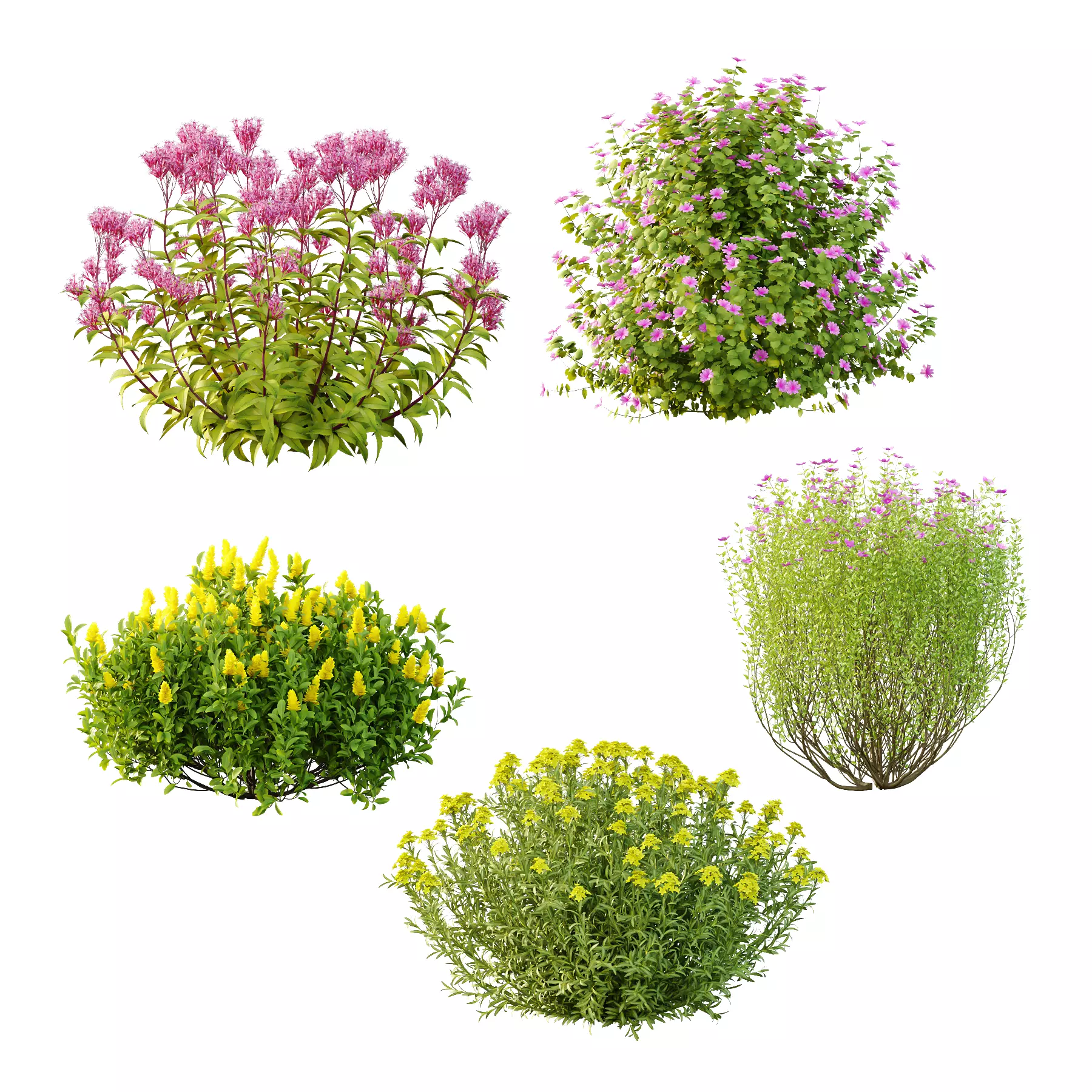 Different bush 11 3D model_0