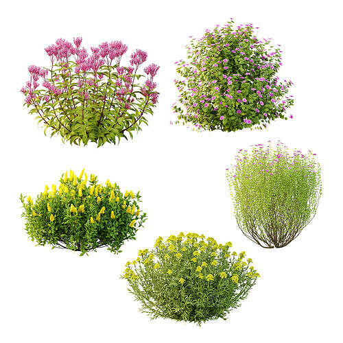 Different bush 11 3D model