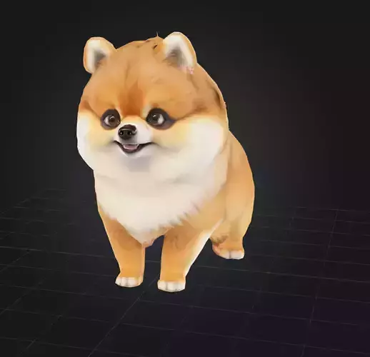 Dog Model - Pomeranian