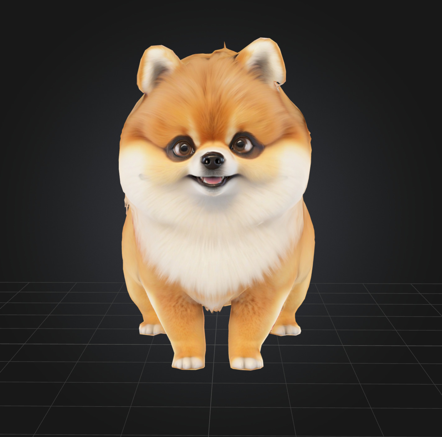 Dog Model - Pomeranian 3D model_2