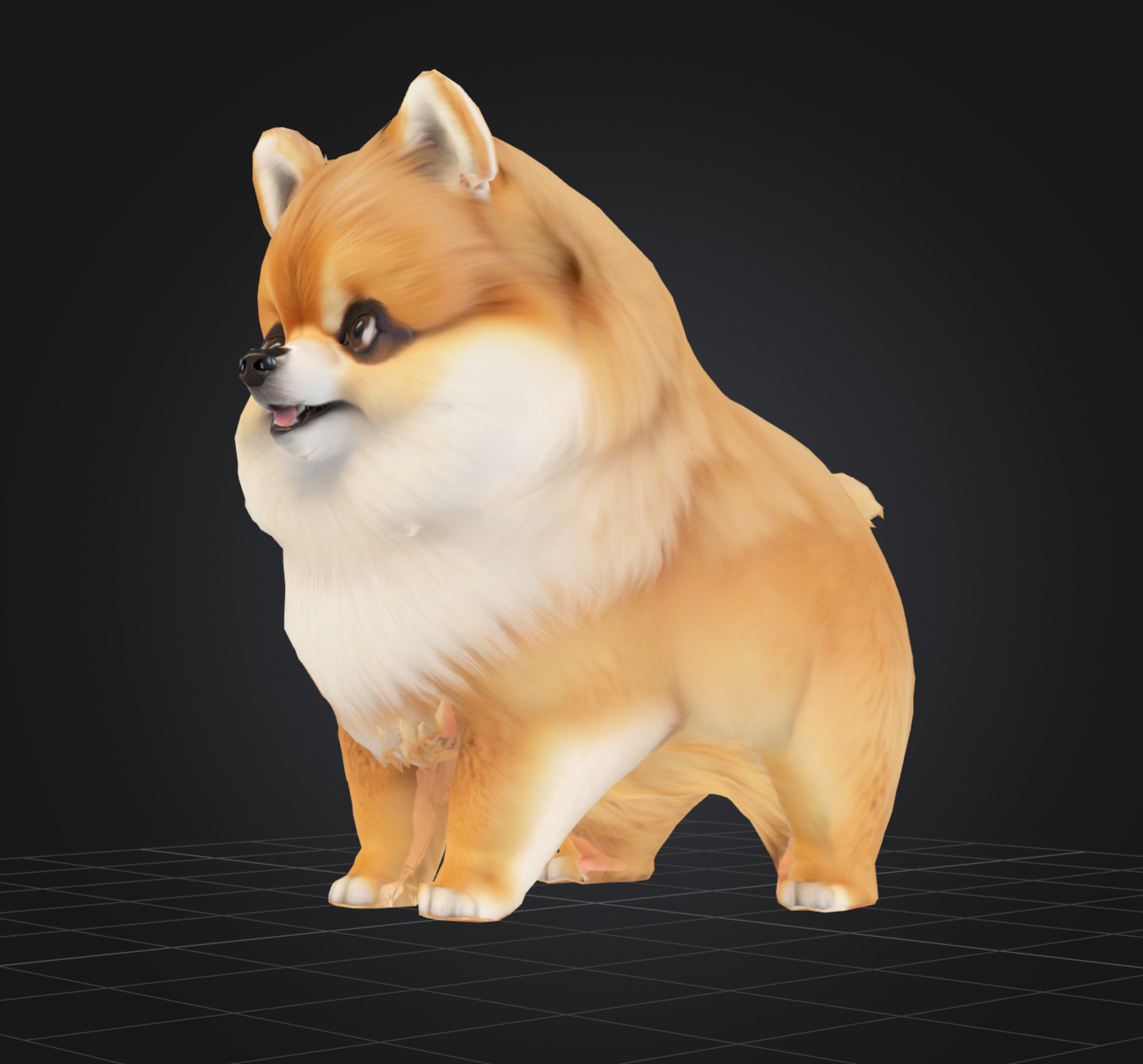 Dog Model - Pomeranian 3D model_3