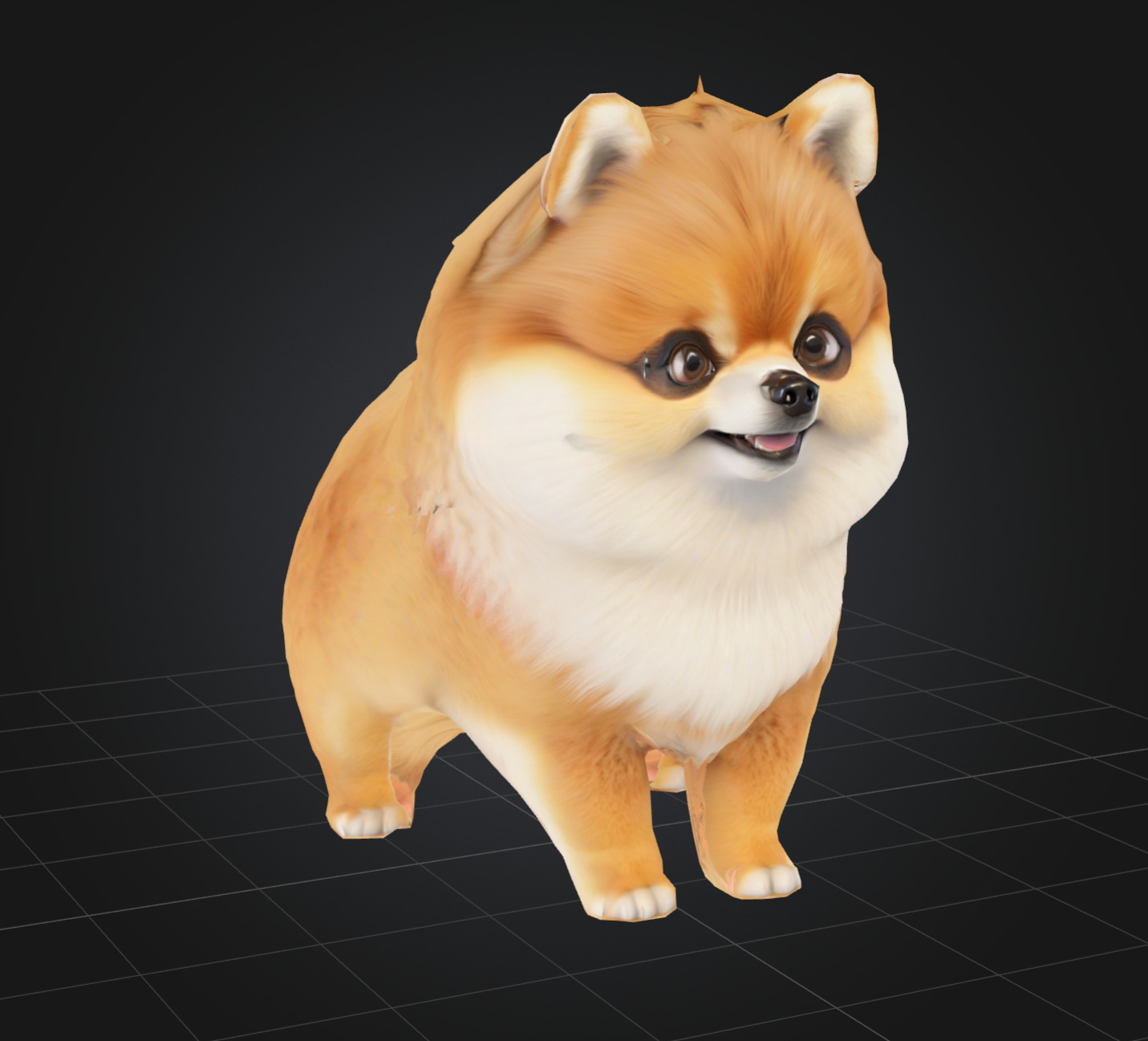 Dog Model - Pomeranian 3D model_1