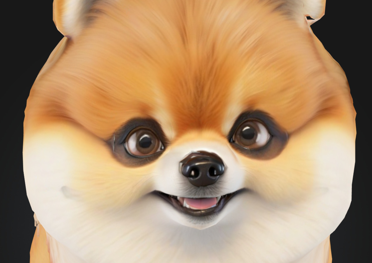 Dog Model - Pomeranian 3D model_4
