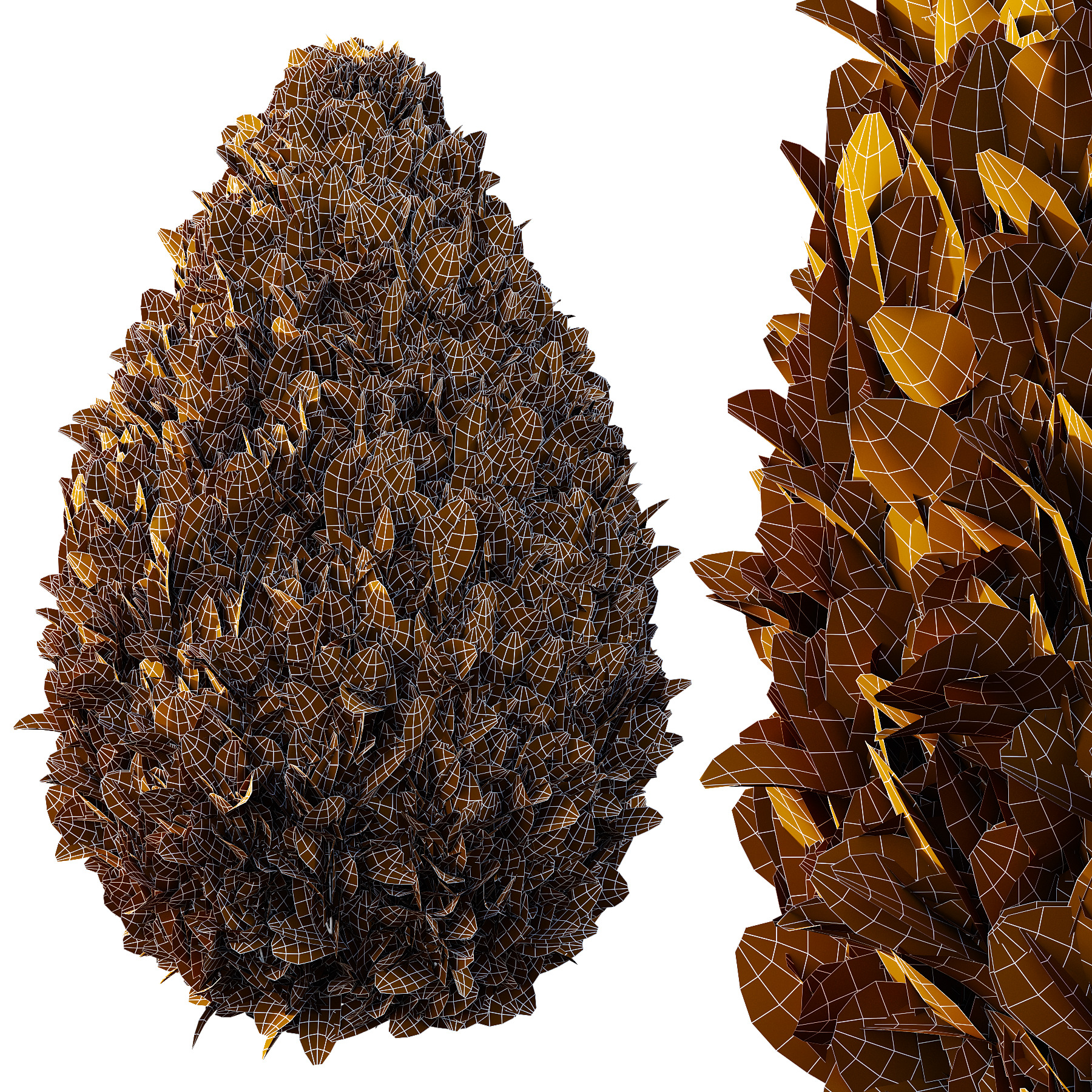 Italian Cypress Tree 3 3D model_4