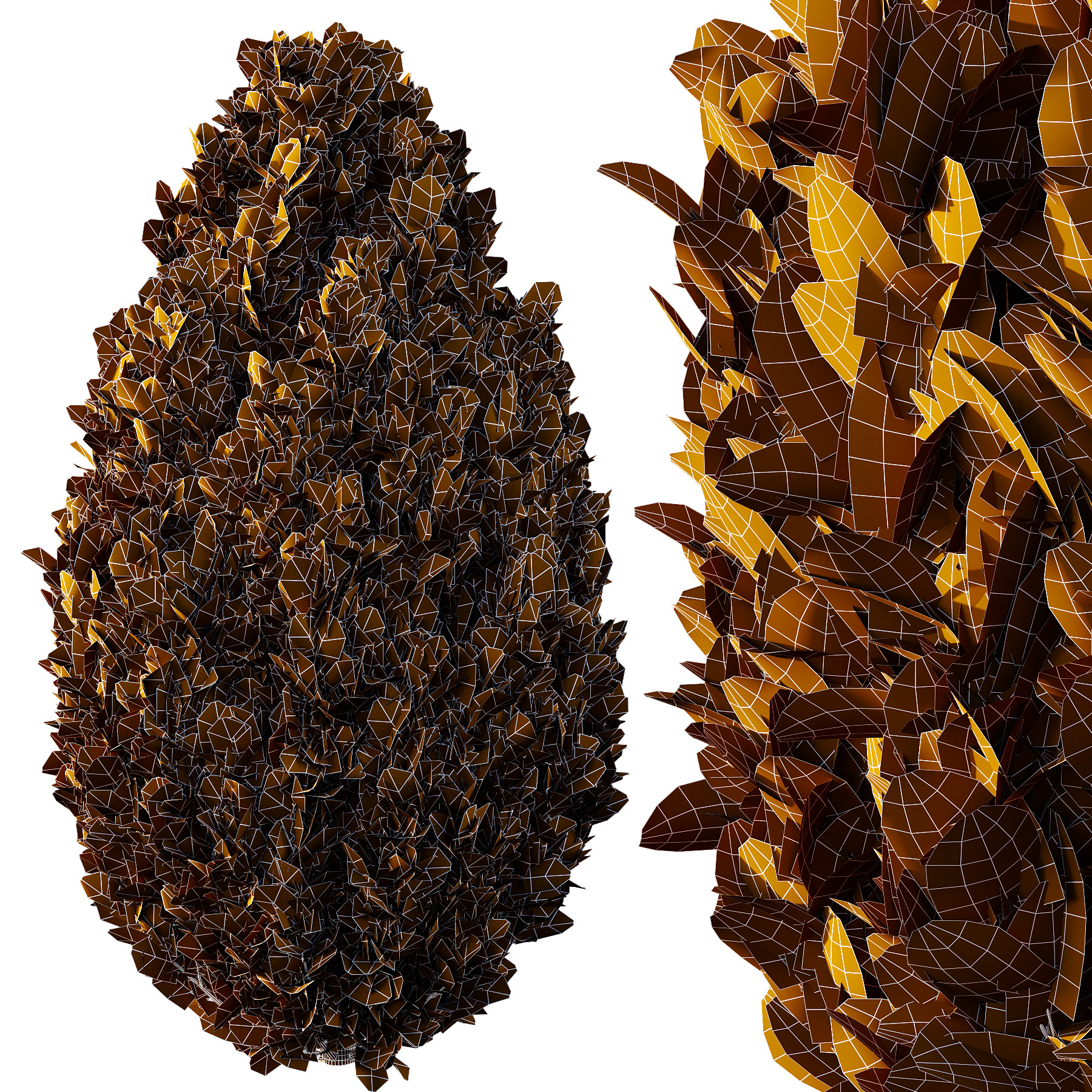 Italian Cypress Tree 3 3D model_5