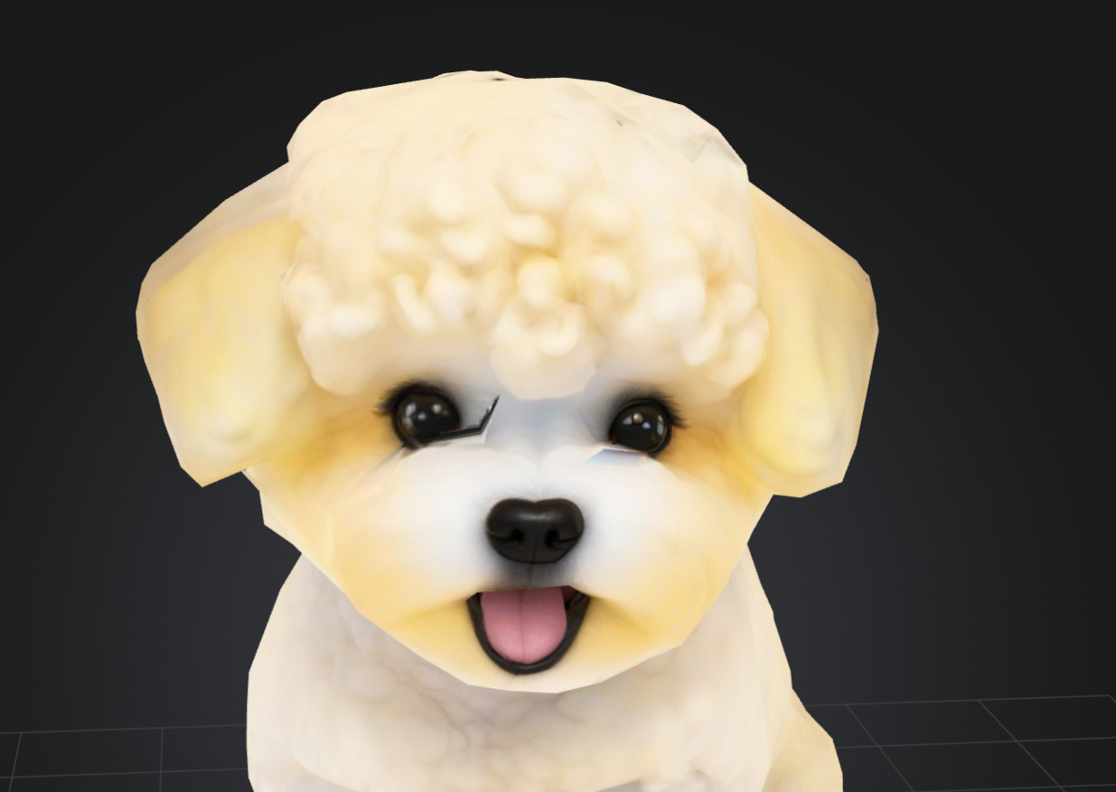 Dog Model - Bichon Frise 3D model_4