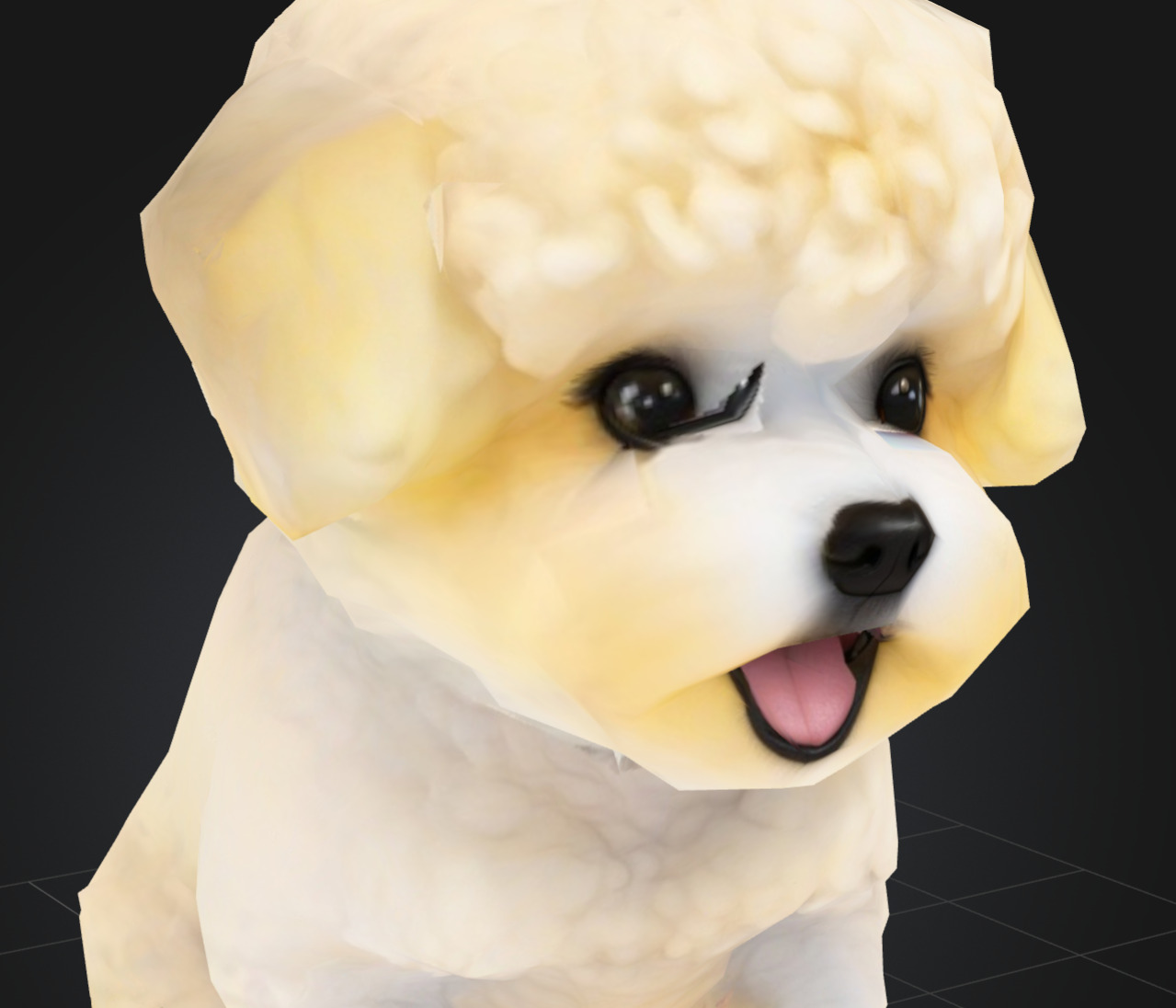 Dog Model - Bichon Frise 3D model_3