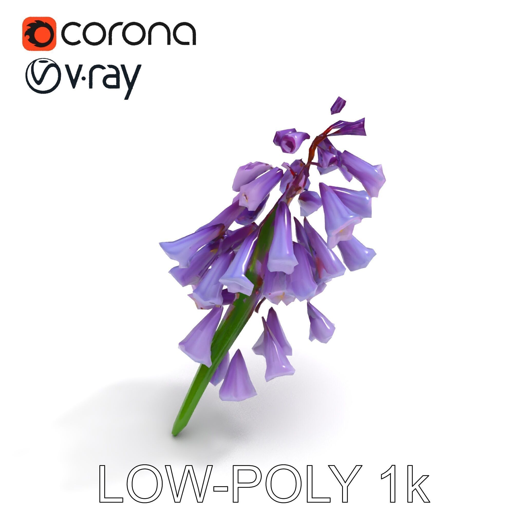 Lilac Hyacinth Flower Model Pack Low-poly 3D model_19