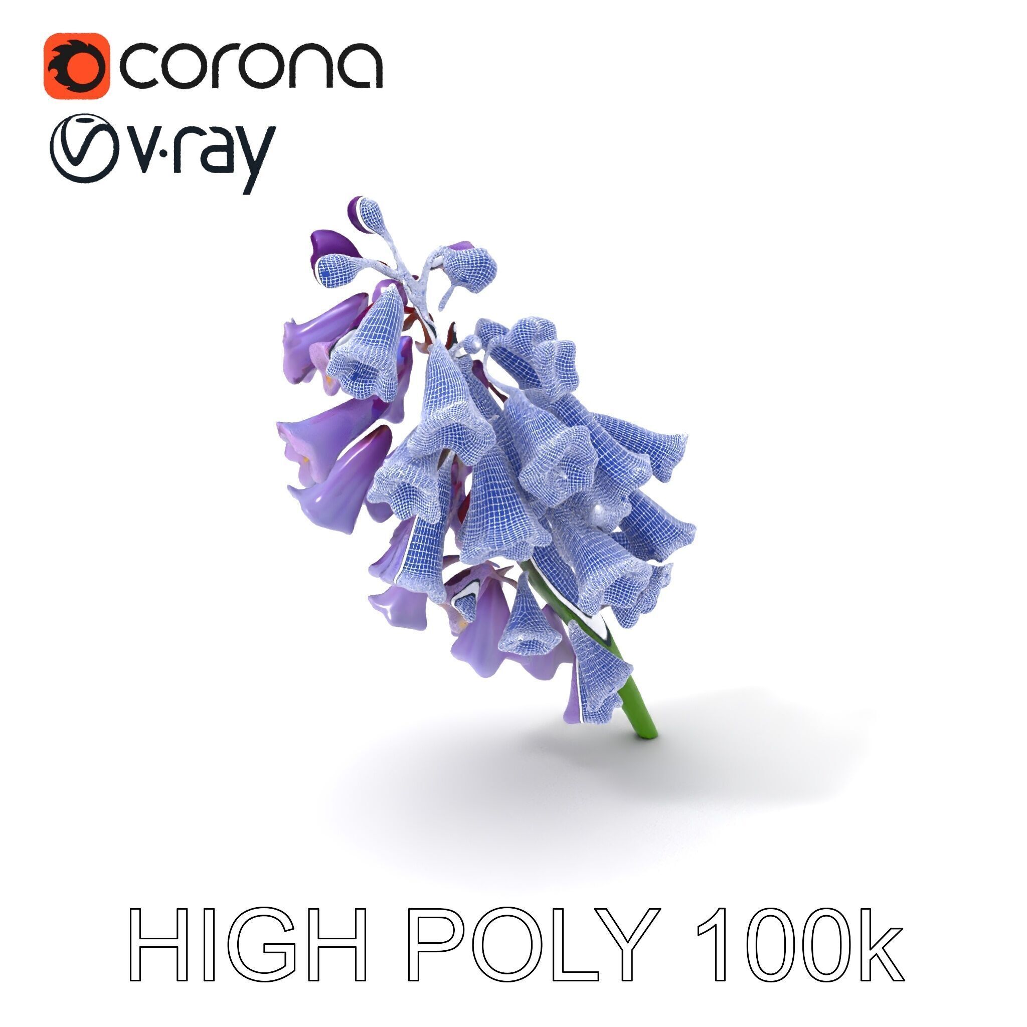Lilac Hyacinth Flower Model Pack Low-poly 3D model_4