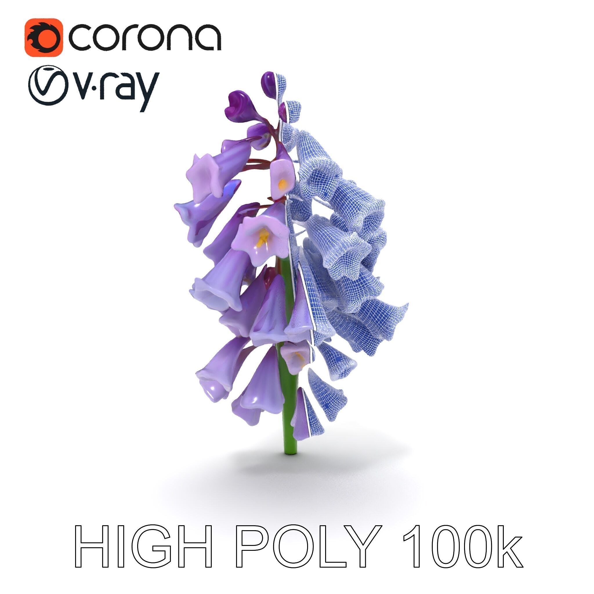 Lilac Hyacinth Flower Model Pack Low-poly 3D model_31