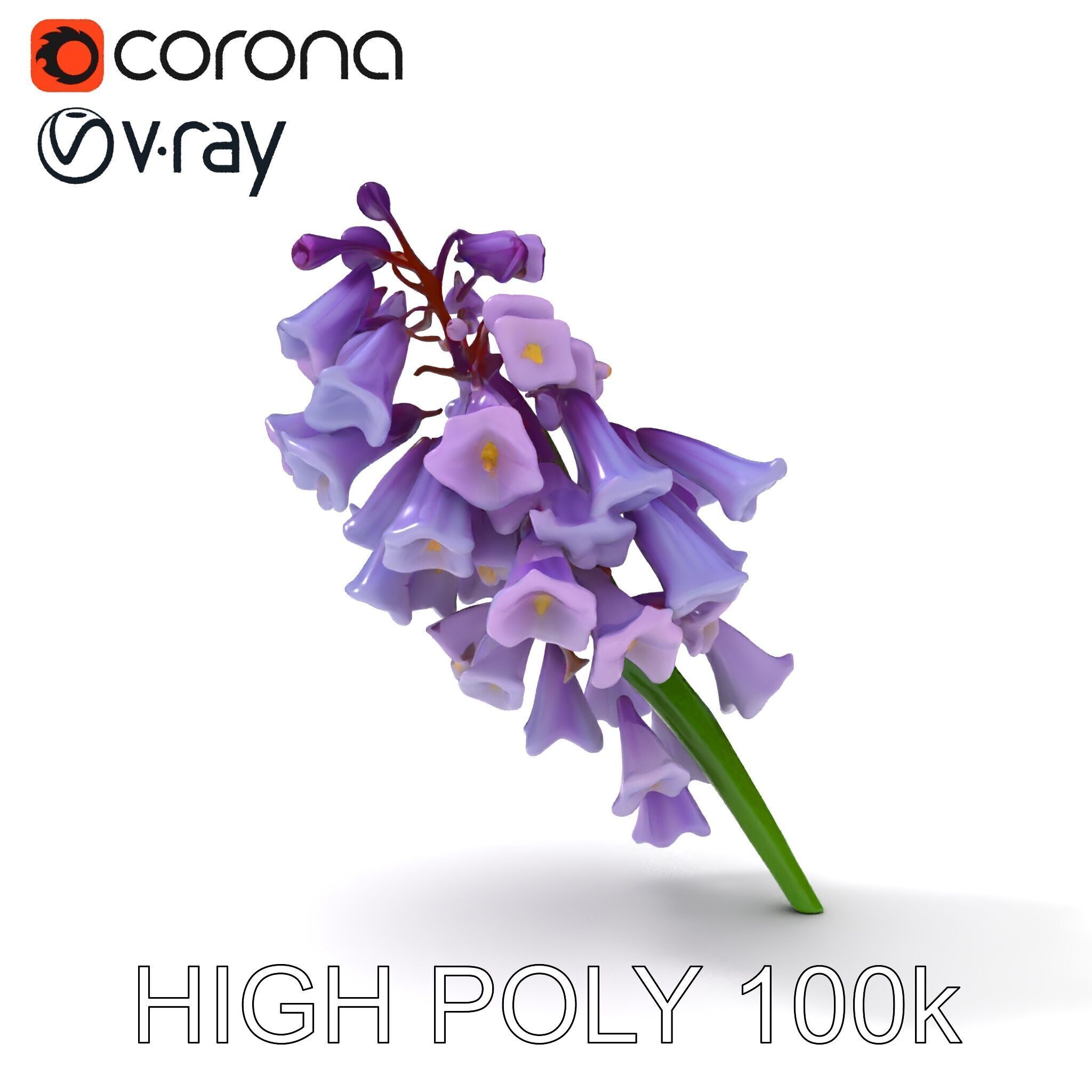 Lilac Hyacinth Flower Model Pack Low-poly 3D model_14