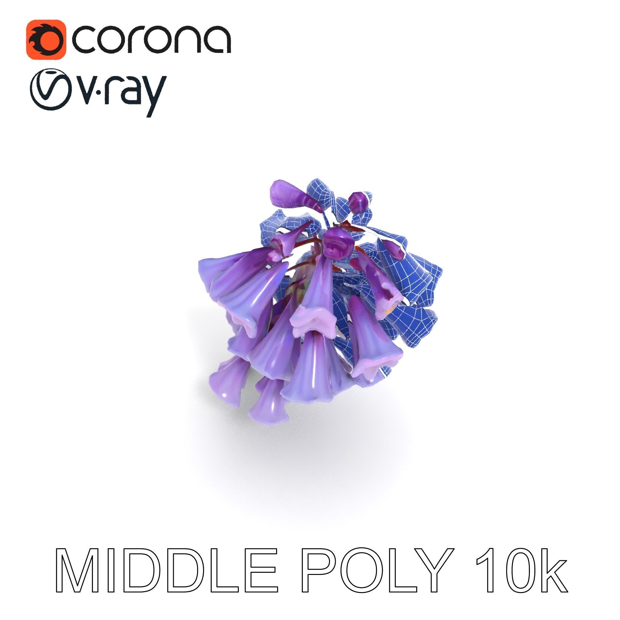 Lilac Hyacinth Flower Model Pack Low-poly 3D model_12