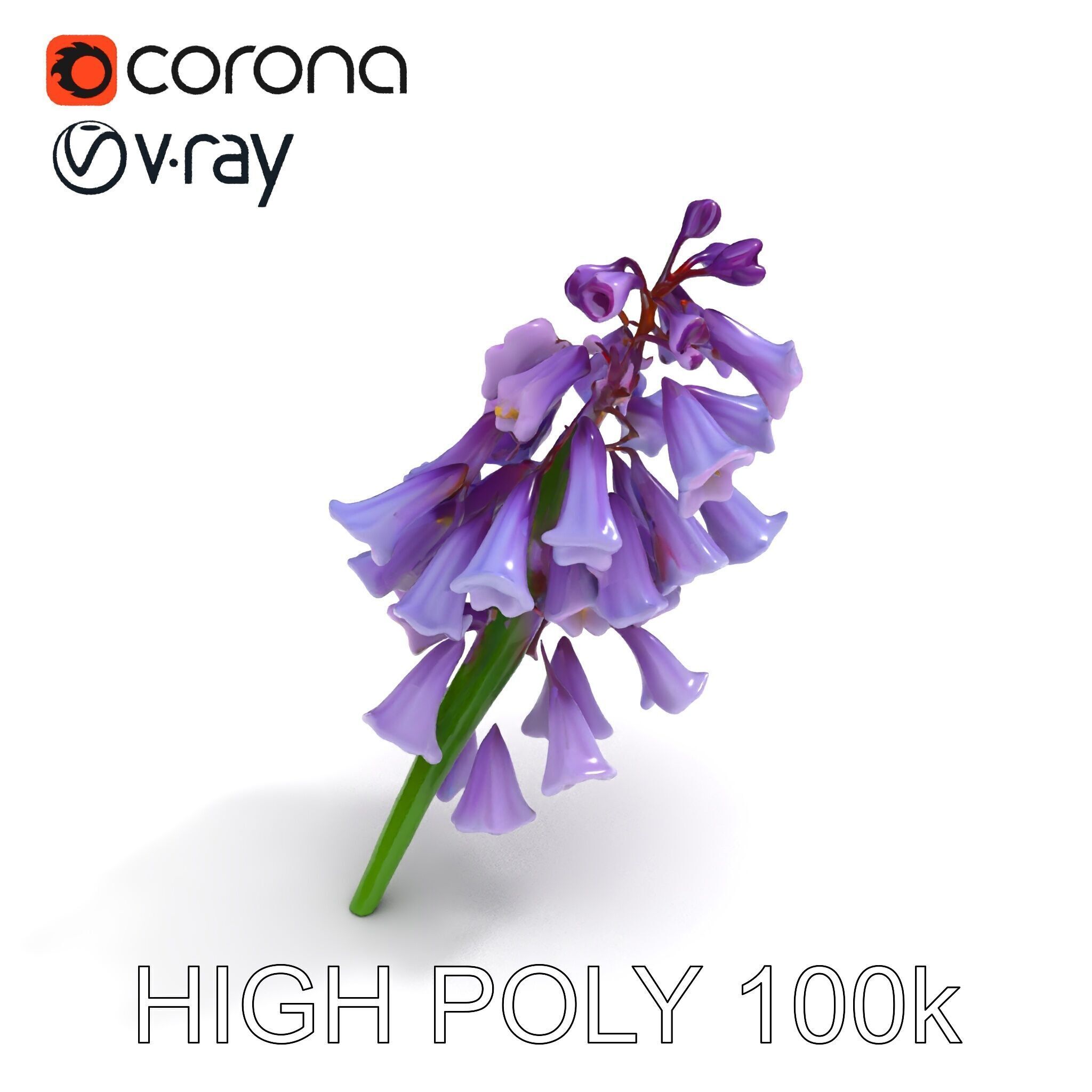 Lilac Hyacinth Flower Model Pack Low-poly 3D model_25