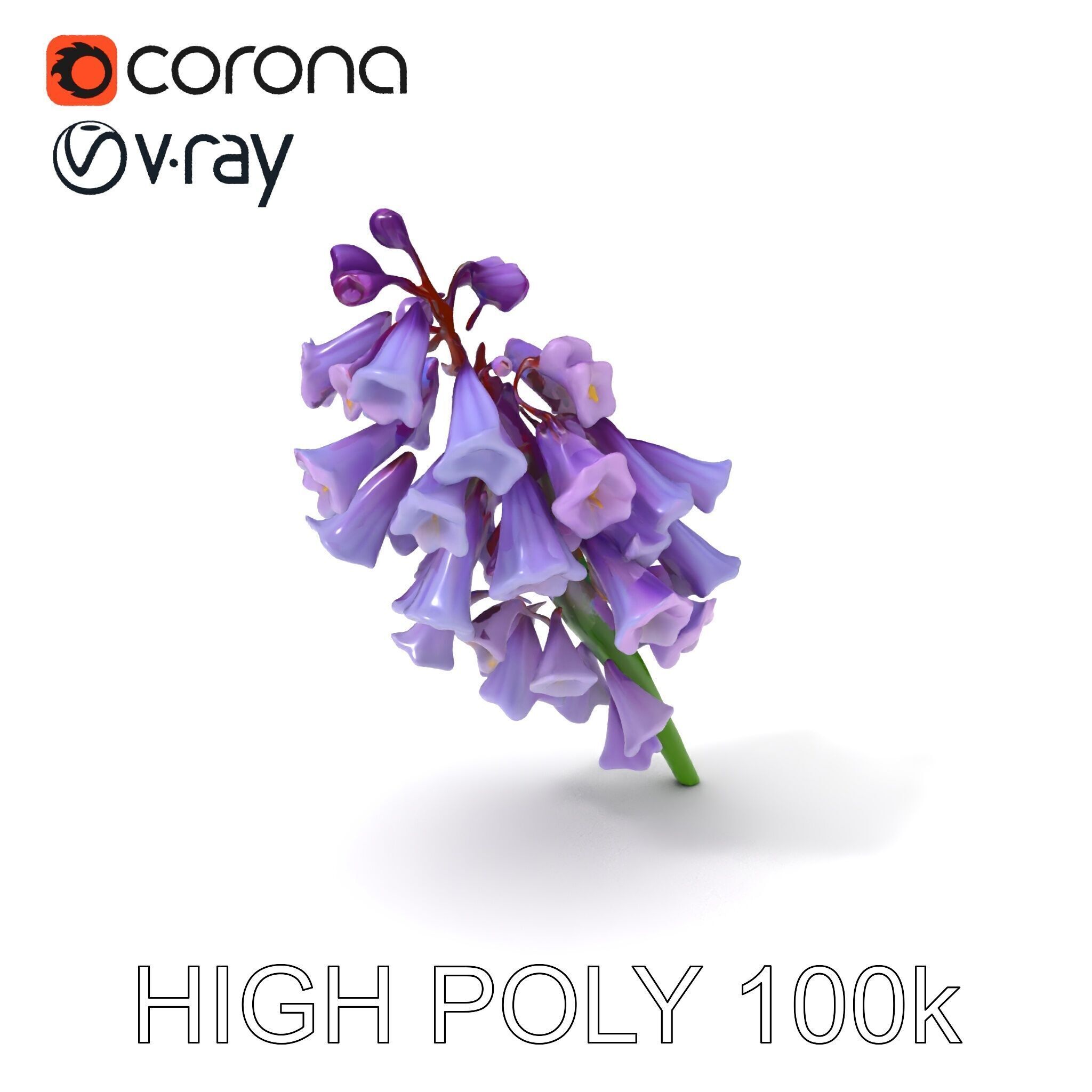 Lilac Hyacinth Flower Model Pack Low-poly 3D model_3
