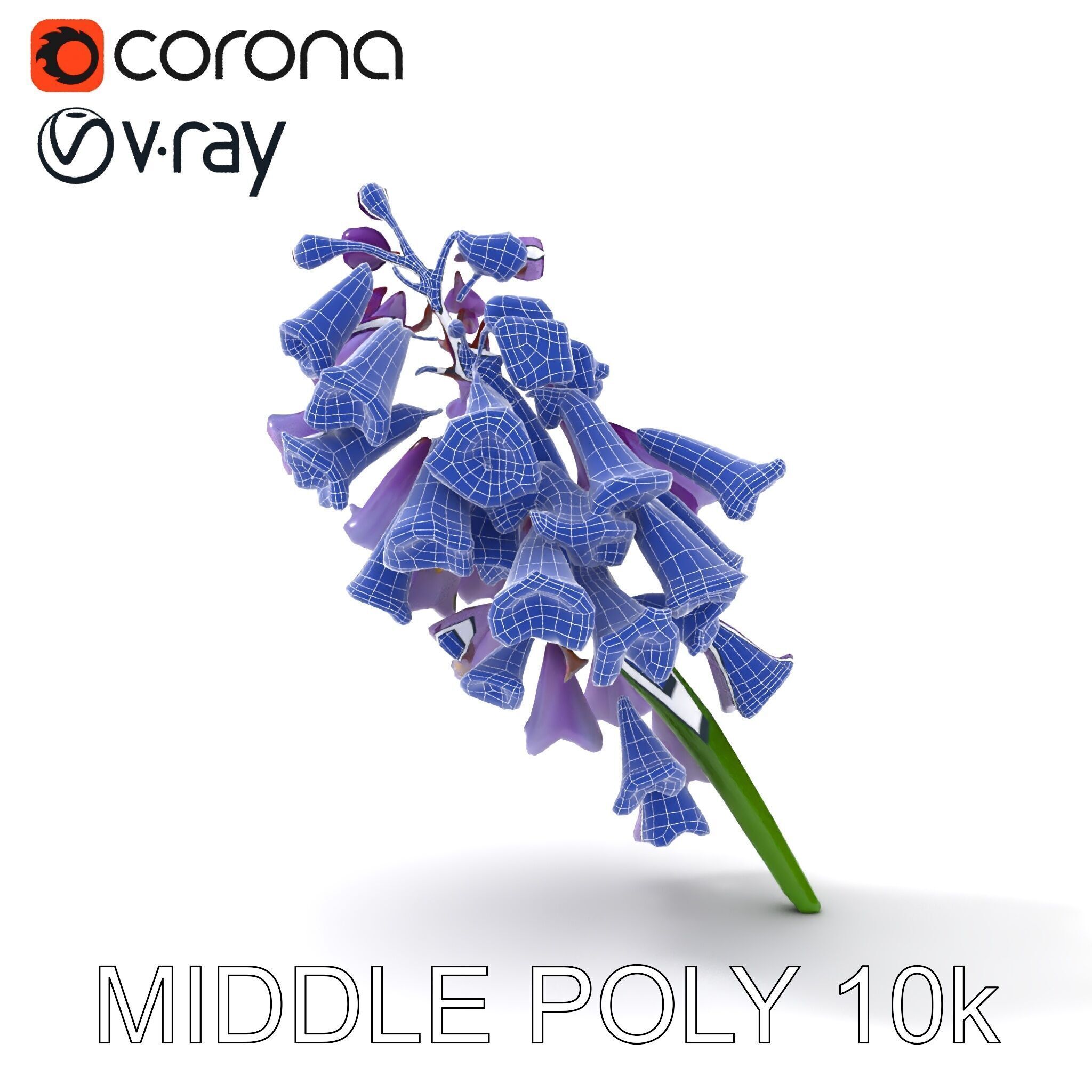 Lilac Hyacinth Flower Model Pack Low-poly 3D model_26