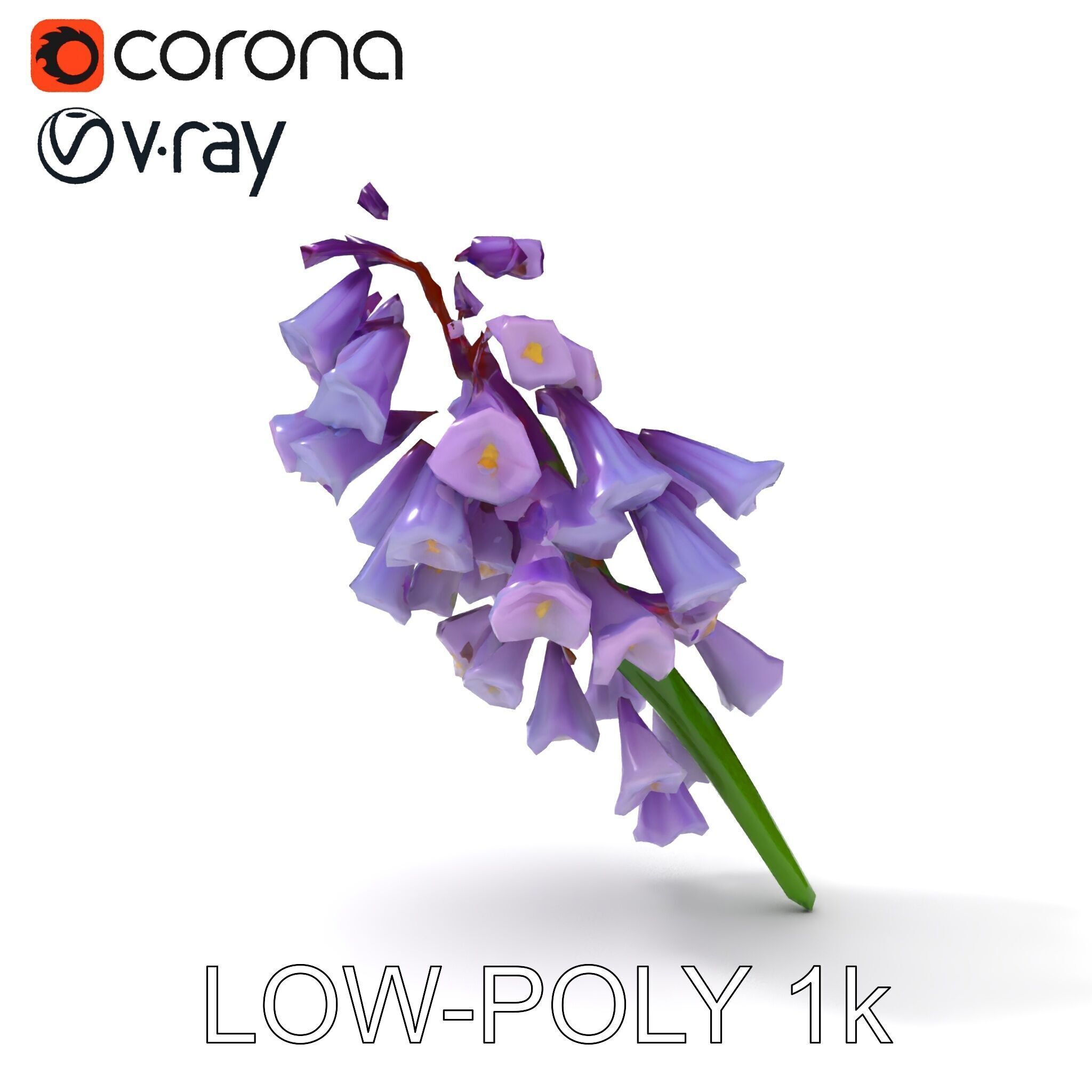 Lilac Hyacinth Flower Model Pack Low-poly 3D model_24