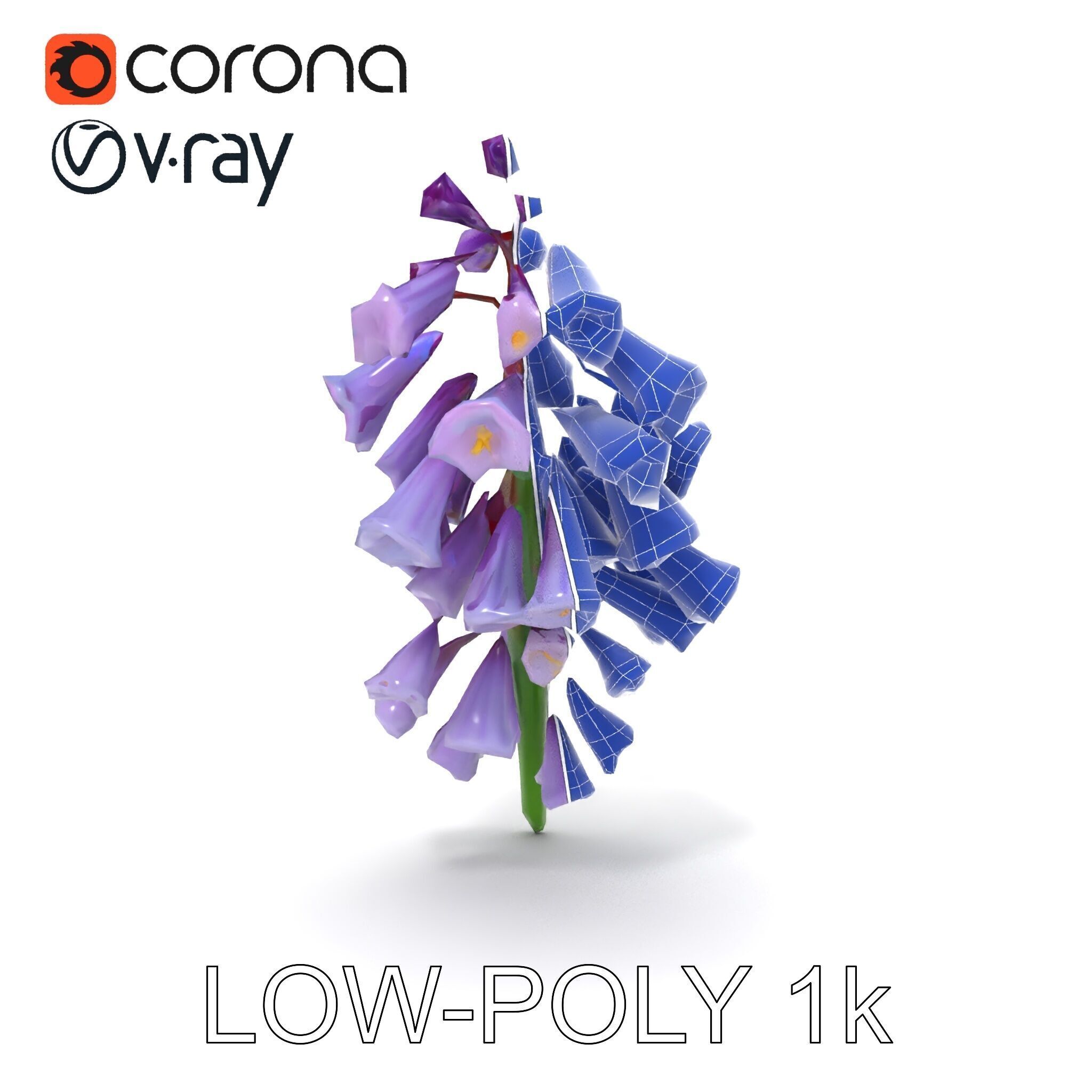 Lilac Hyacinth Flower Model Pack Low-poly 3D model_13
