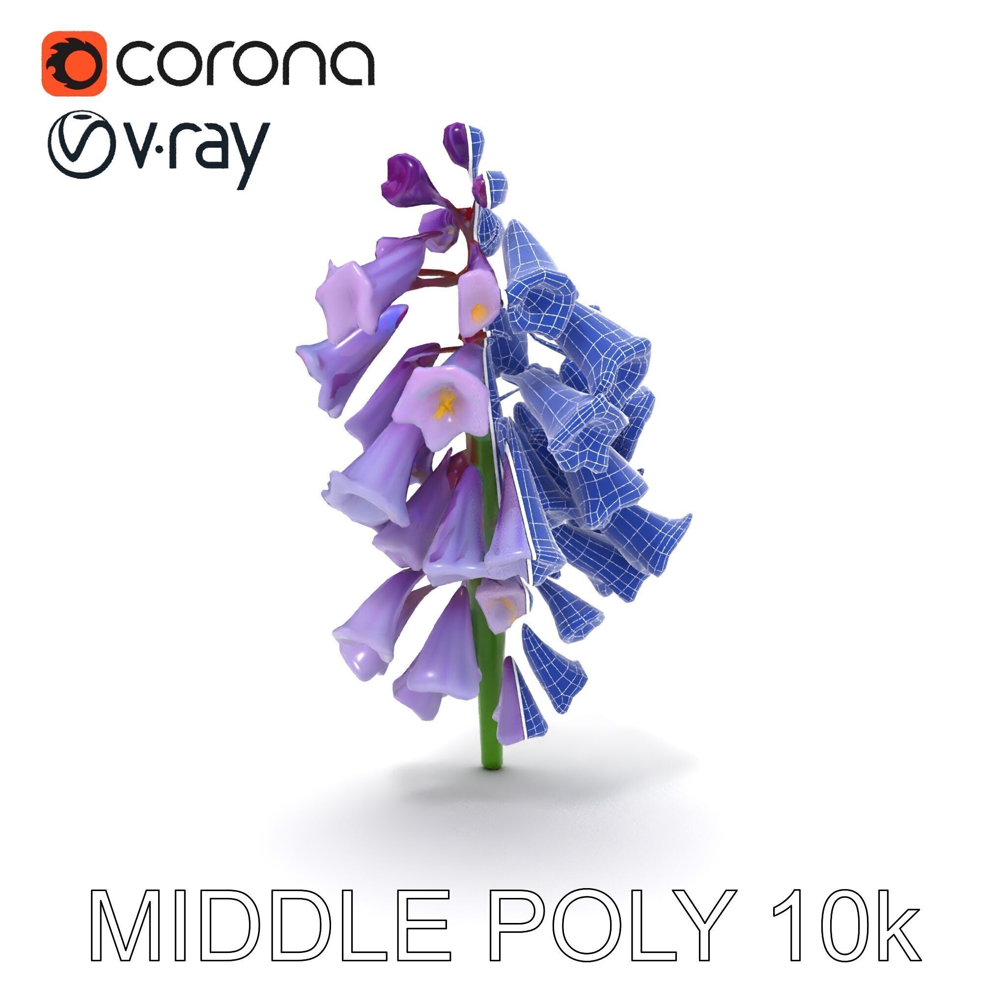 Lilac Hyacinth Flower Model Pack Low-poly 3D model_34