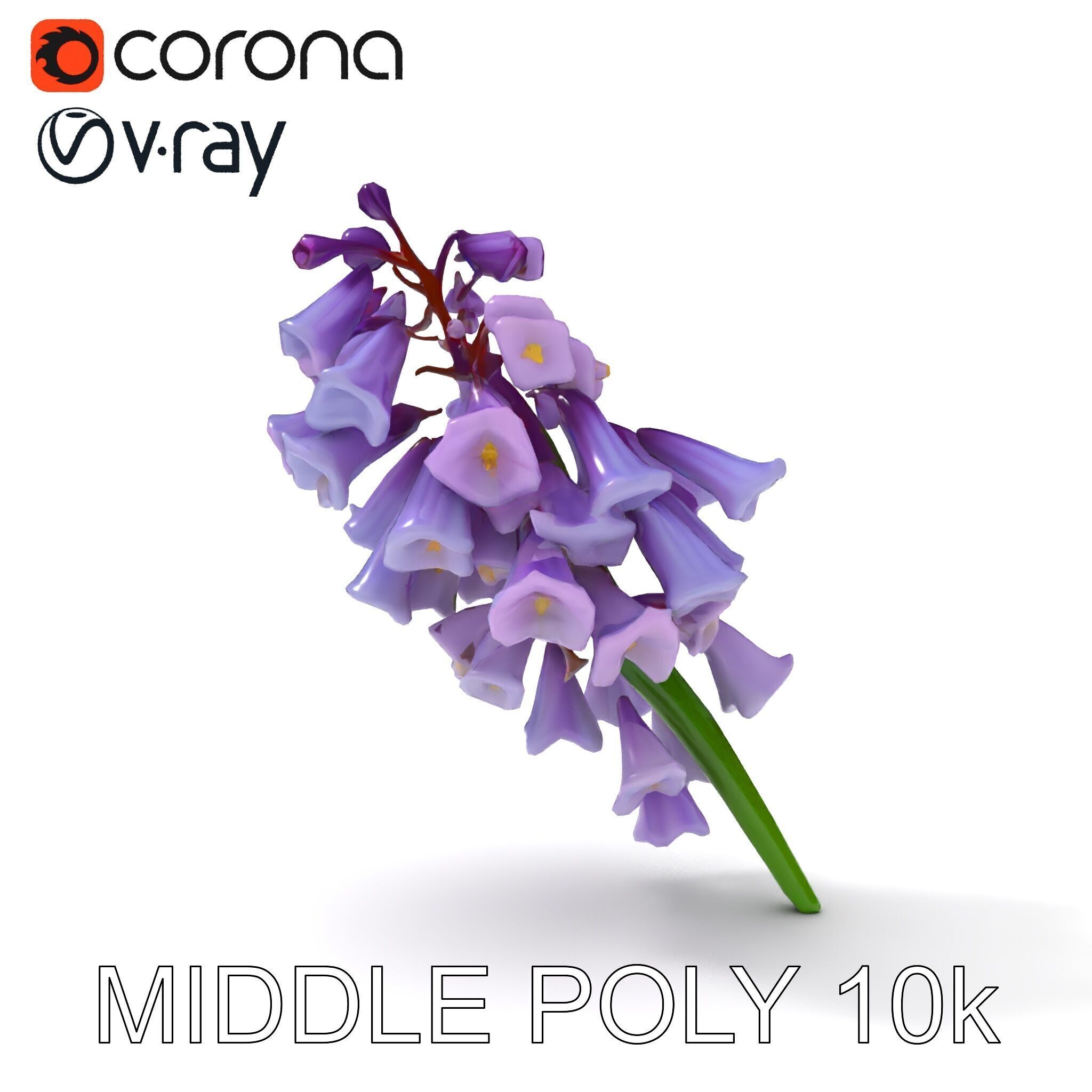 Lilac Hyacinth Flower Model Pack Low-poly 3D model_21