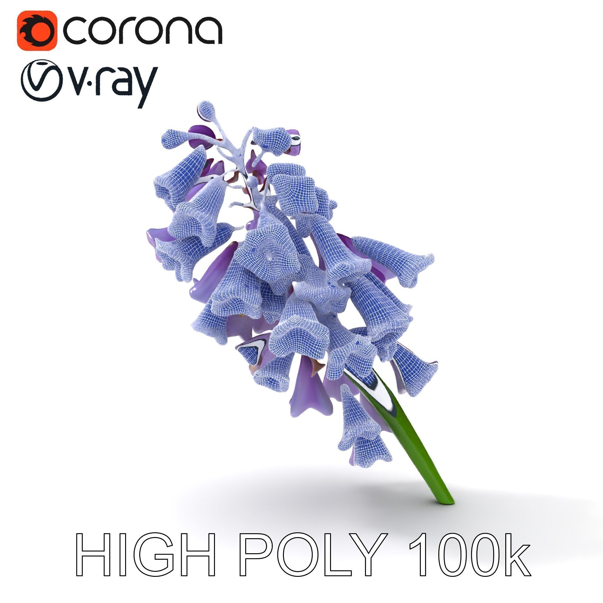 Lilac Hyacinth Flower Model Pack Low-poly 3D model_8